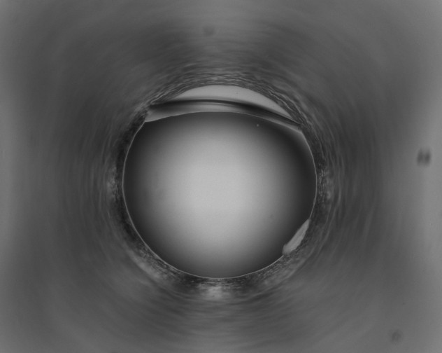 X0000094430564200711211435