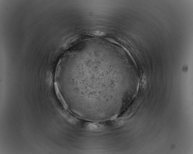 X0000094430568200711211435