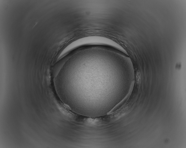 X0000094430570200711211436