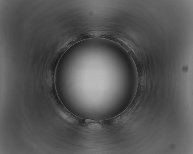 X0000094430572200711211436