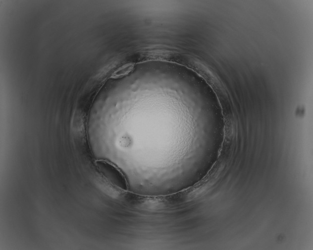 X0000094430573200711211436