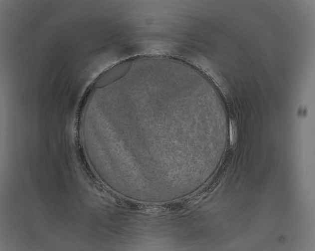 X0000094430579200711211435