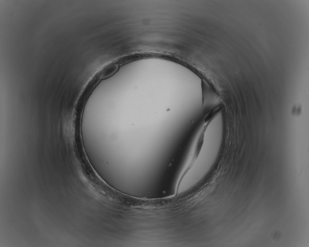 X0000094430580200711211435