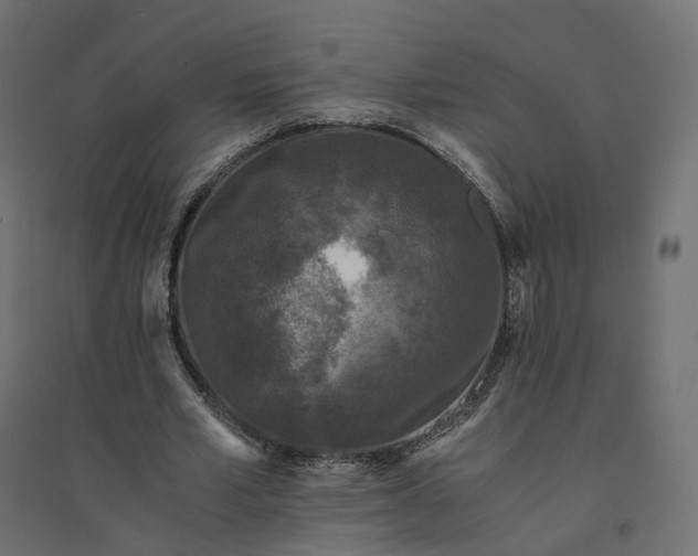 X0000094430581200711211435