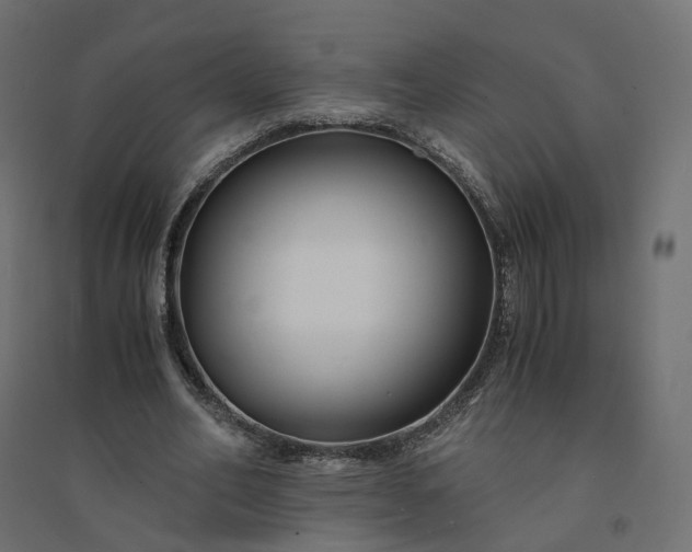 X0000094430582200711211435