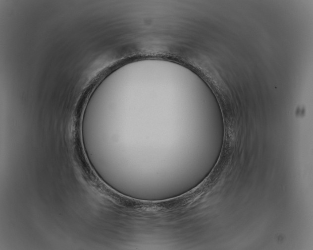 X0000094430583200711211435
