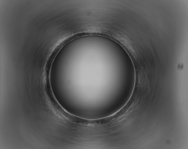 X0000094430584200711211435