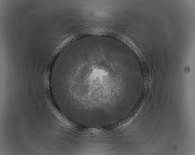 X0000094430585200711211435