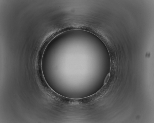 X0000094430587200711211435