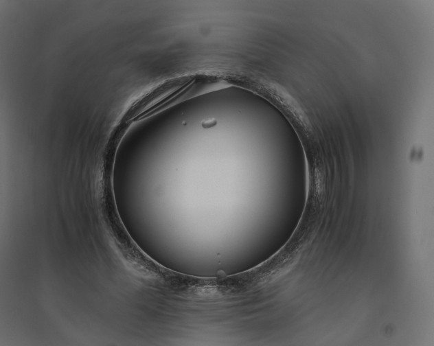 X0000094430588200711211435