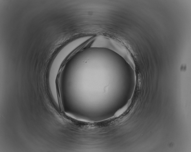X0000094430589200711211435