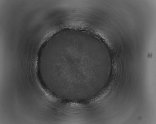X0000094430590200711211435