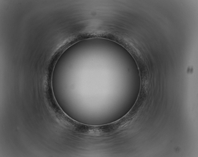 X0000094430591200711211435