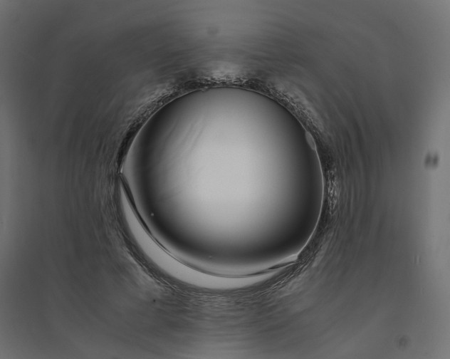 X0000094430593200711211435