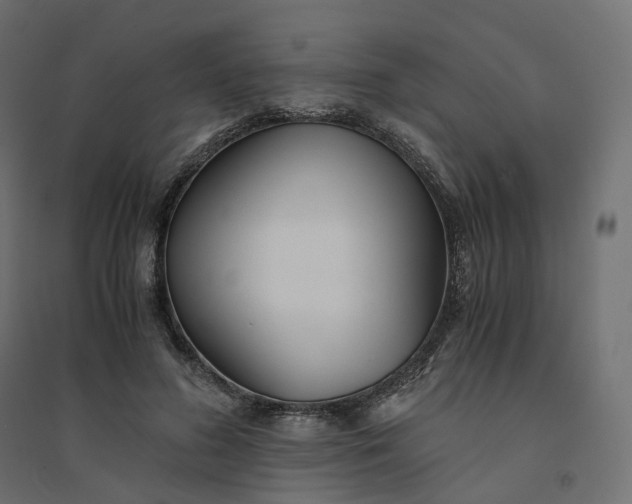 X0000094430596200711211435