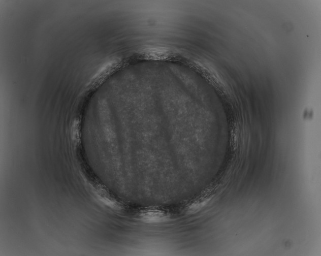 X0000094430598200711211435