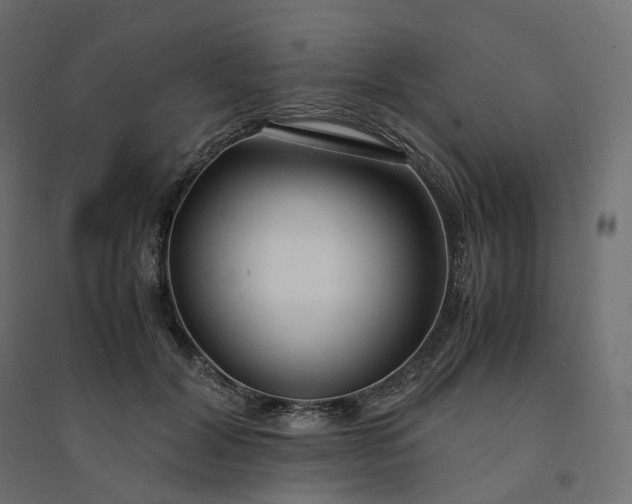 X0000094430604200711211435