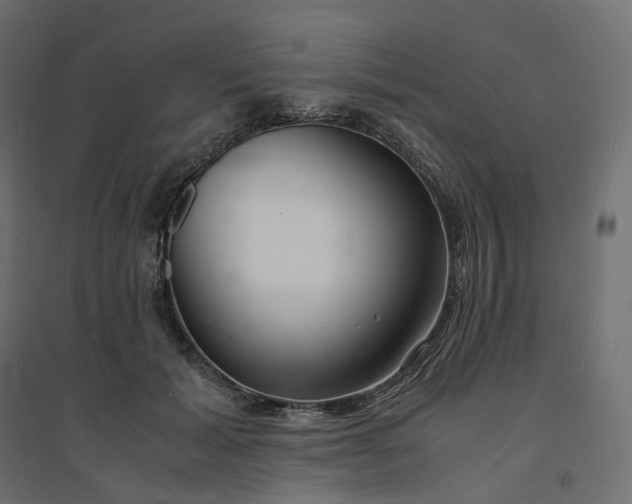 X0000094430605200711211435