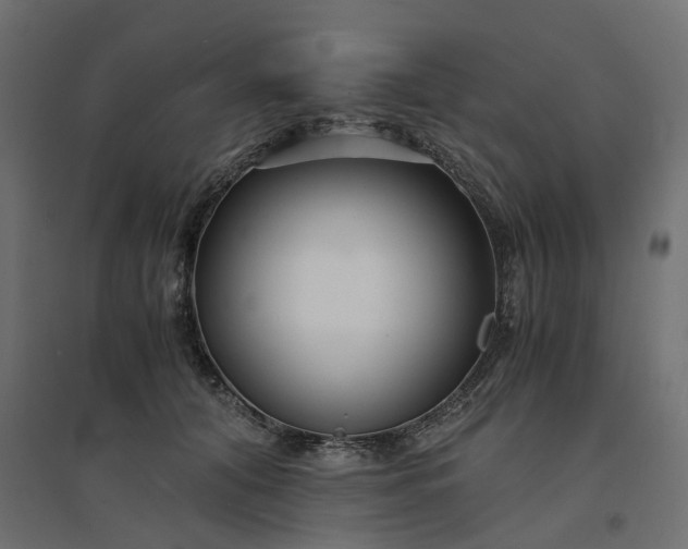 X0000094430608200711211435