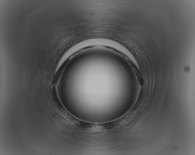X0000094430609200711211434