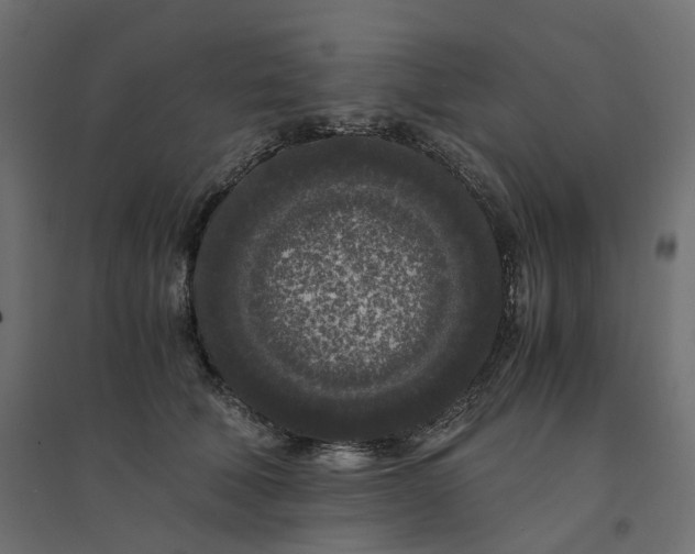 X0000094430610200711211434
