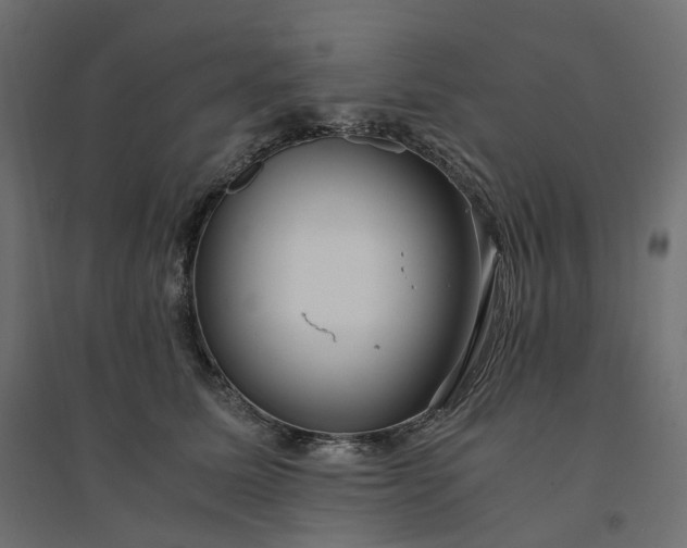 X0000094430611200711211434