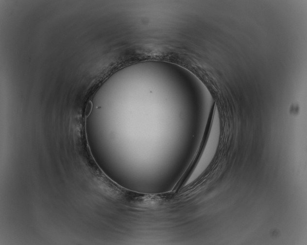 X0000094430612200711211434
