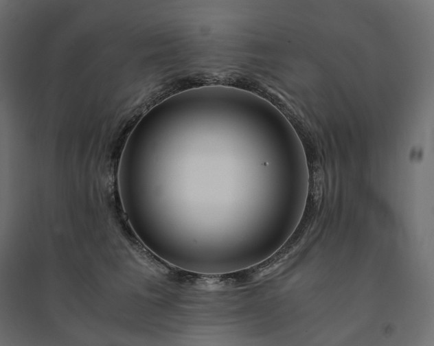 X0000094430613200711211434