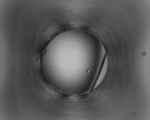 X0000094430615200711211434