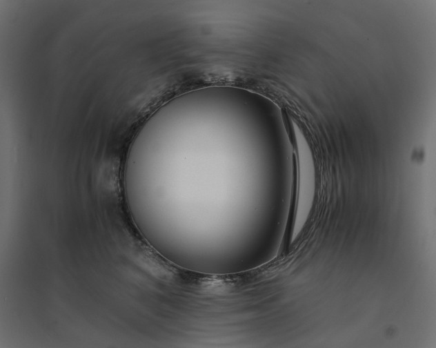 X0000094430616200711211434