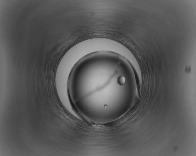 X0000094430617200711211434