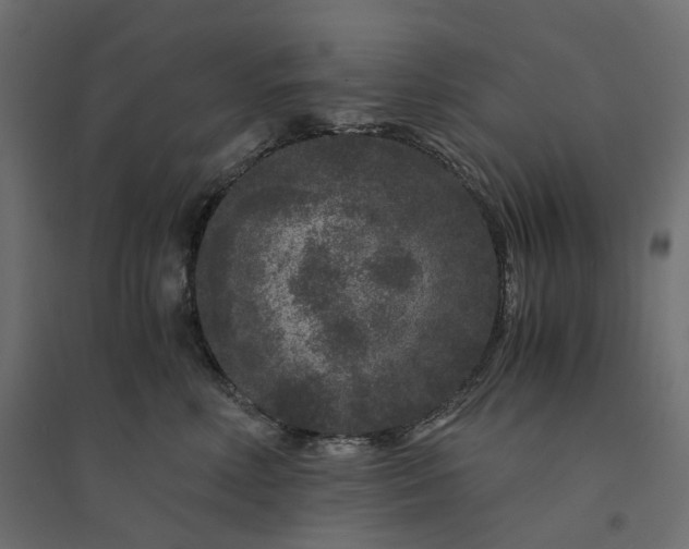 X0000094430618200711211434