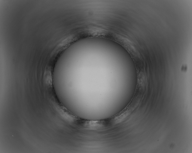 X0000094430622200711211434