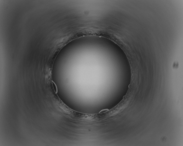 X0000094430624200711211434