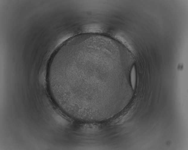 X0000094430627200711211433