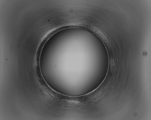 X0000094430628200711211433