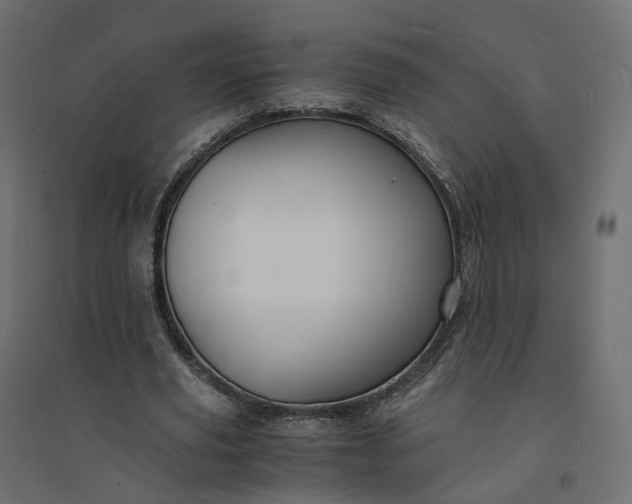 X0000094430629200711211434
