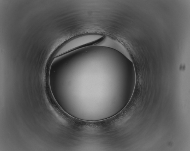 X0000094430630200711211434