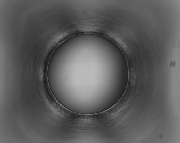 X0000094430631200711211434