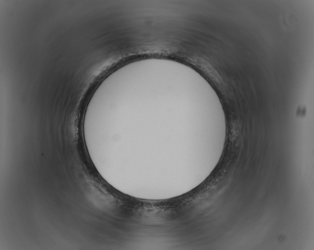 X0000094430632200711211434
