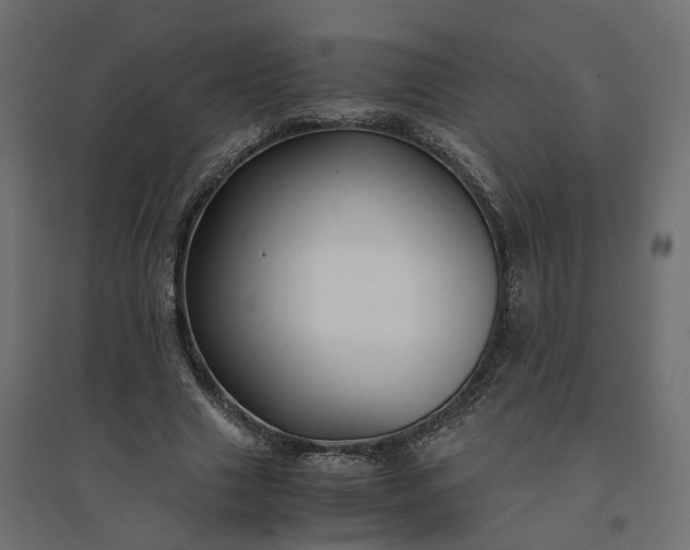X0000094430633200711211434