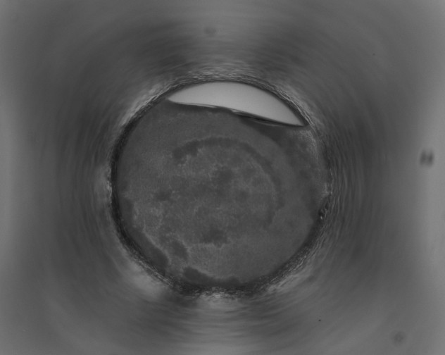 X0000094430634200711211434