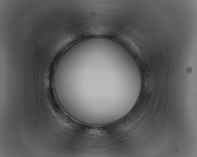X0000094430635200711211434