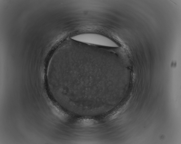 X0000094430637200711211434