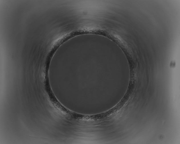 X0000094430640200711211434