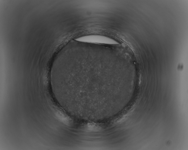 X0000094430641200711211434