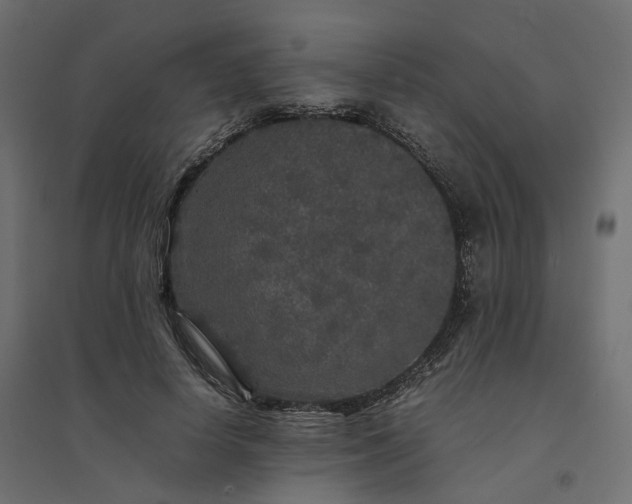 X0000094430642200711211434