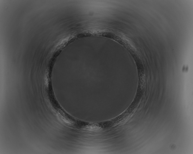X0000094430644200711211434