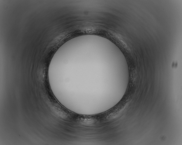 X0000094430645200711211434