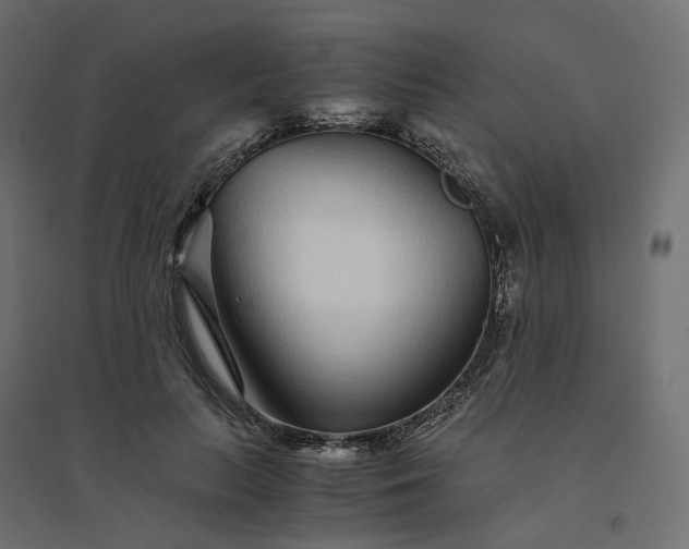 X0000094430647200711211434